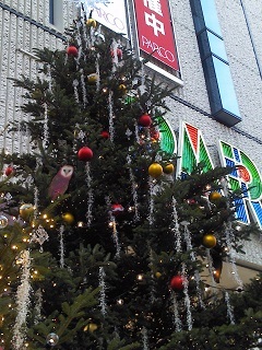 クリスマスツリー☆.JPG