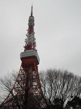 東京タワーちょっぴり近め.JPG