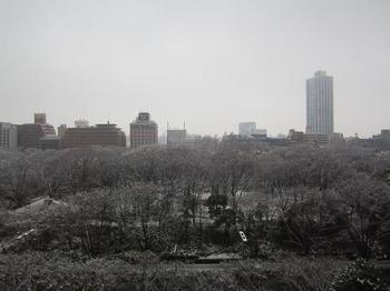 都庁5階からの雪景色.JPG